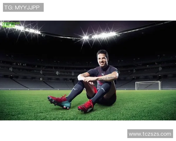 彪马足球明星阵容揭秘他们的成就与影响力分析