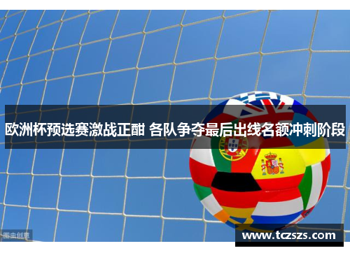 欧洲杯预选赛激战正酣 各队争夺最后出线名额冲刺阶段