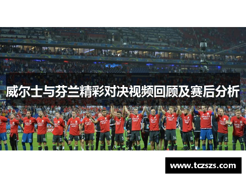 威尔士与芬兰精彩对决视频回顾及赛后分析