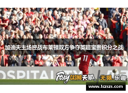 加迪夫主场迎战布莱顿双方争夺英超宝贵积分之战